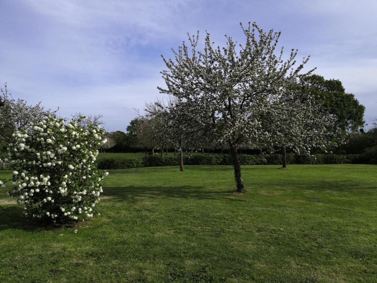 La Villa Le 29 Tracy-sur-Mer Εξωτερικό φωτογραφία